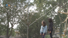 Com a Natureza é Mais Fácil Aprender 